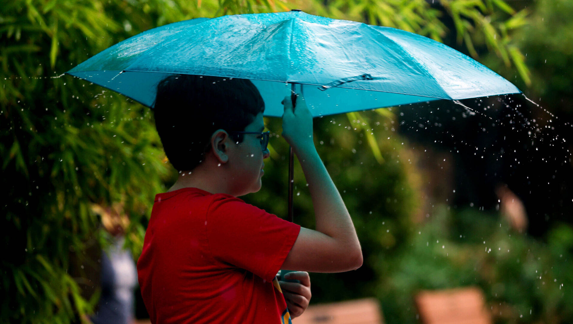 Monsoon, 2025